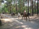IMG_0801.JPG